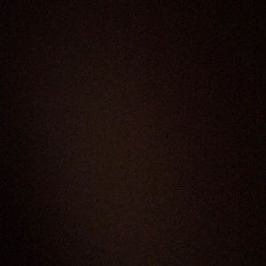 Meet your Posher, Gianna